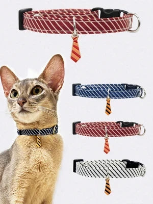 Cat Supplies